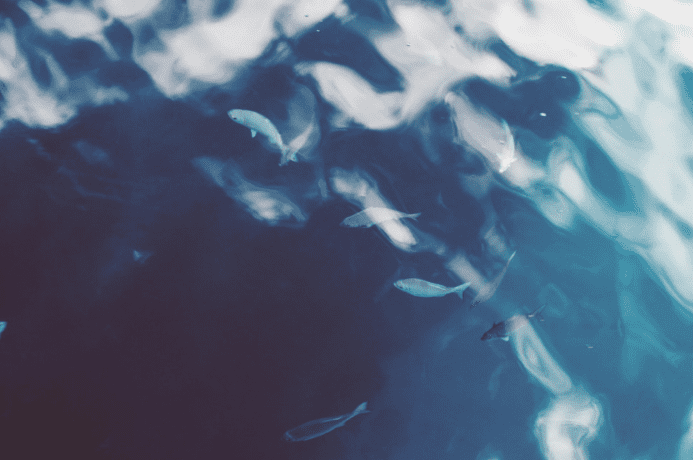 water